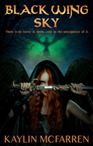Black Wing Sky Book Cover